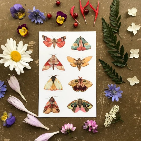 Jess Polanshek Sticker Sheets