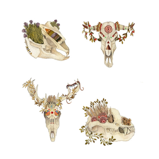 Collector: the Skulls by Jess Polanshek