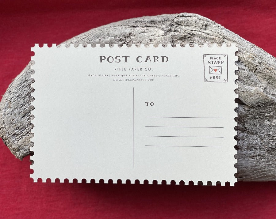 Hey Girl! Valentine's Day Postcard Set