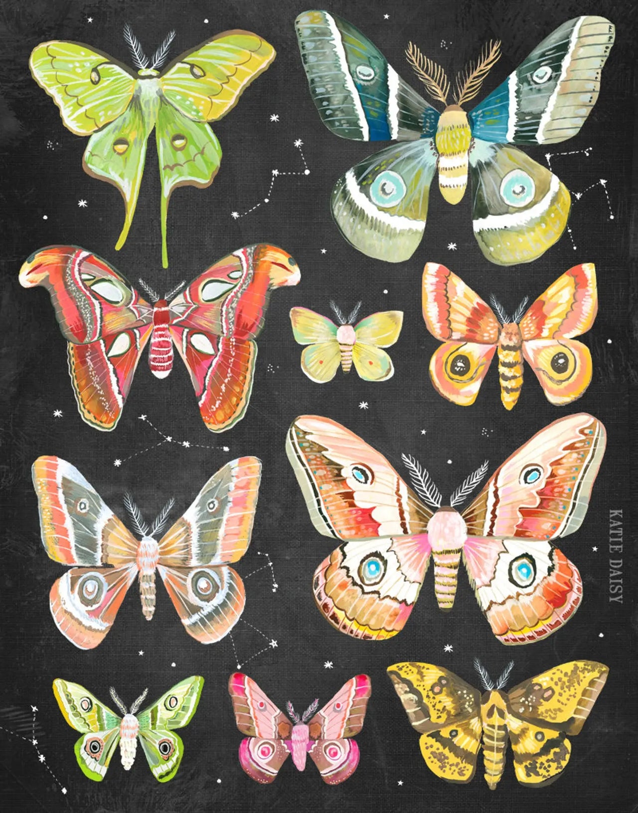 Moth Chart