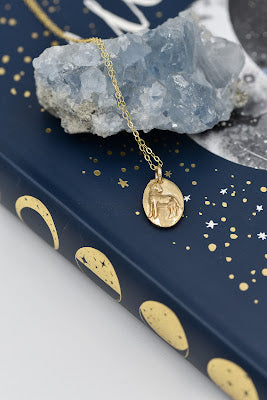 Zodiac Necklace