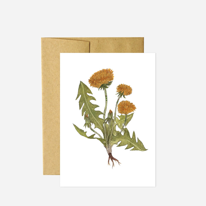 The Dandelions Card