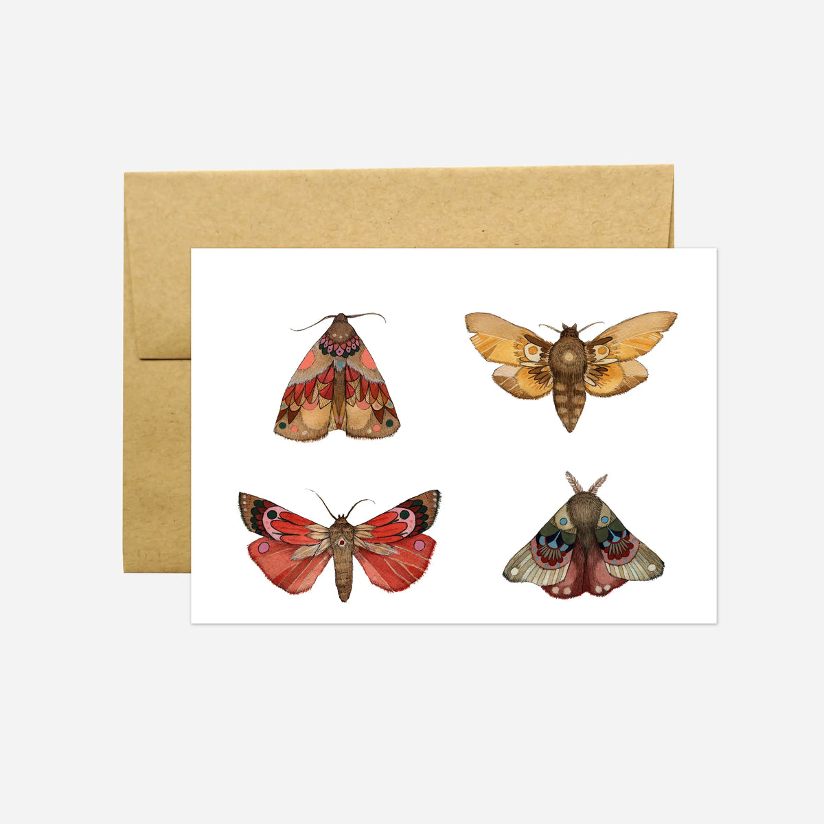 Moths Part |  Card