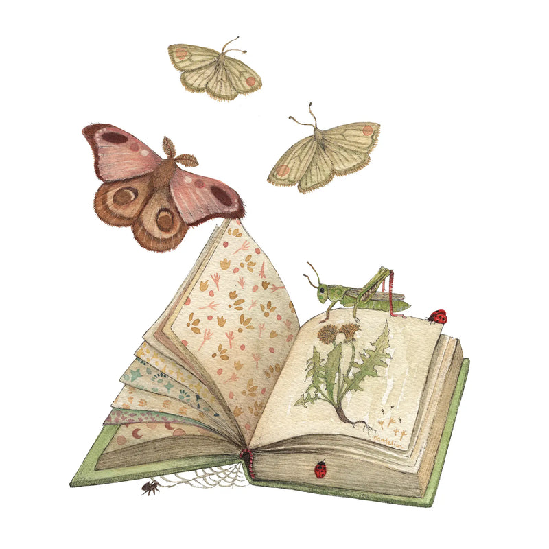 Woodland Home: Freya’s Book