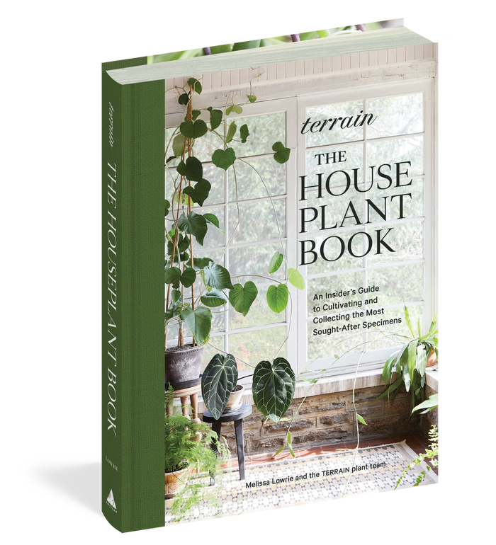 The House Plant Book