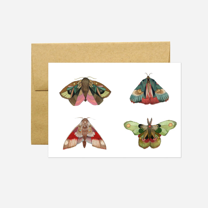 Moths Part |||  Card