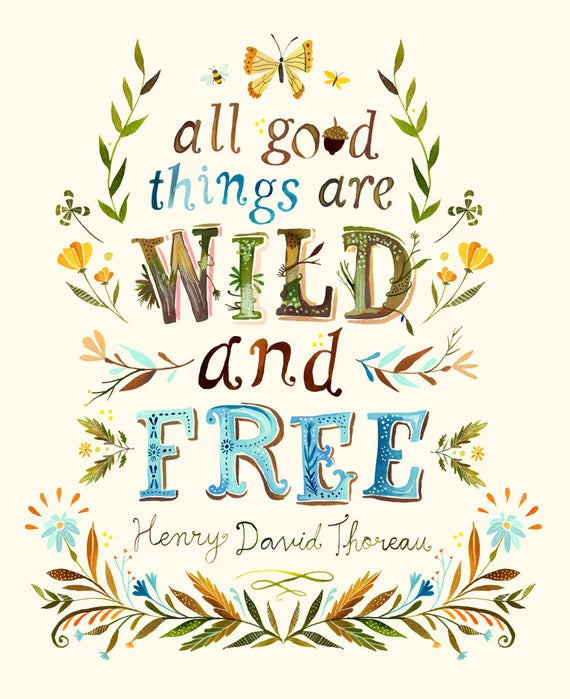 Wild & Free