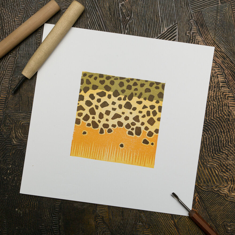 Brown Trout 8x8