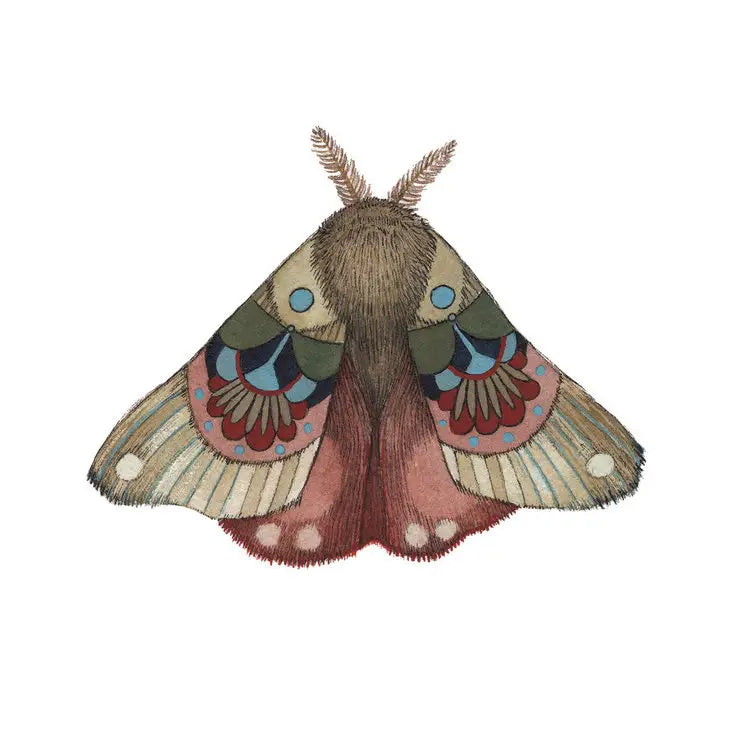 Moths 3 Print