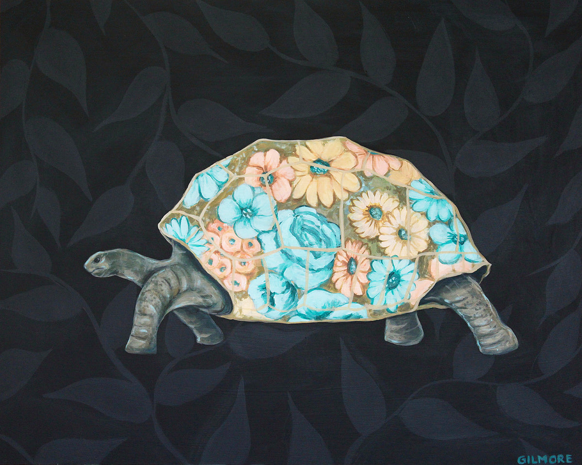 Floral-Shelled Tortoise