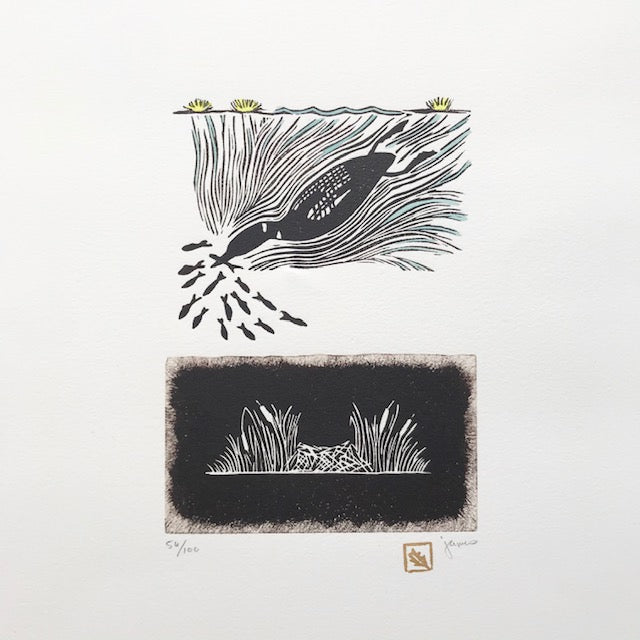 Loon Habitat