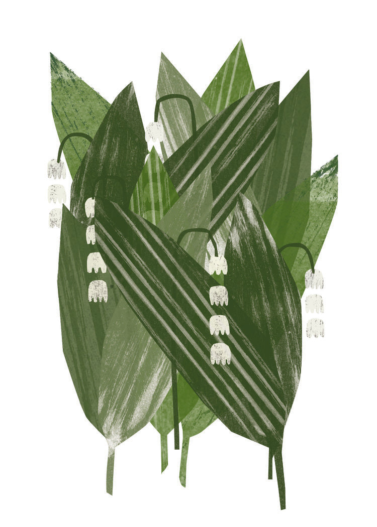 Micro Duluth : Lily of the Valley