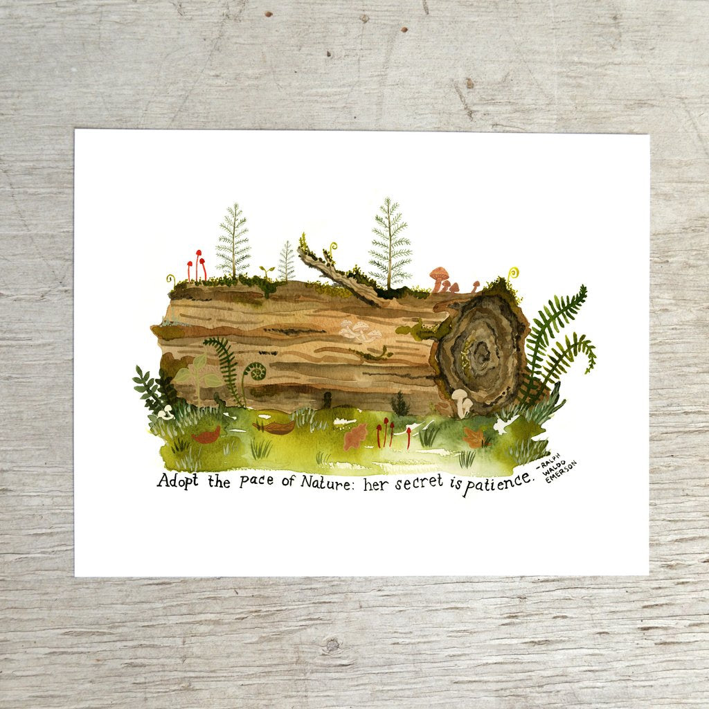 Nurse Log